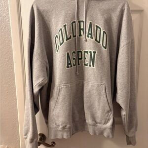 Brandy Melville Gray Hoodie with Green Lettering